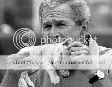 george-bush-eats-a-kitten.jpg