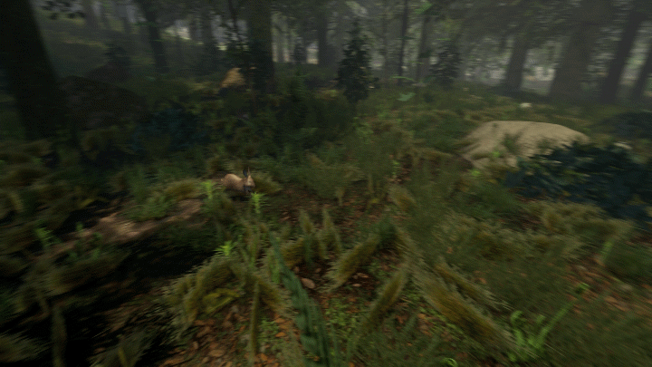 TheForest_Rabbit.gif