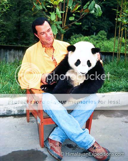 Steven_Seagal_Panda_r1i23.jpg