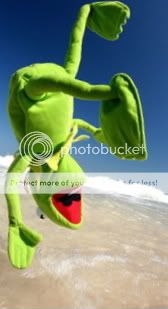 kermit-2.jpg