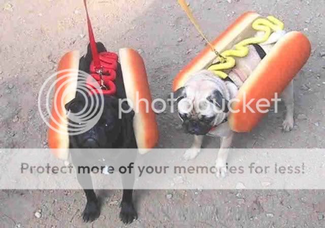 hotdogs.jpg