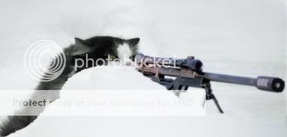 cat_sniper.jpg